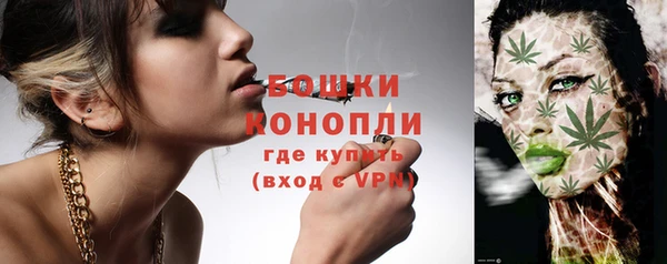 соль ск Бронницы