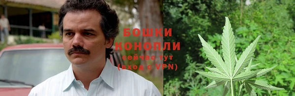 соль ск Бронницы