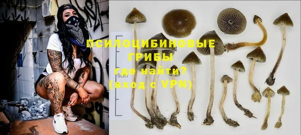 соль ск Бронницы