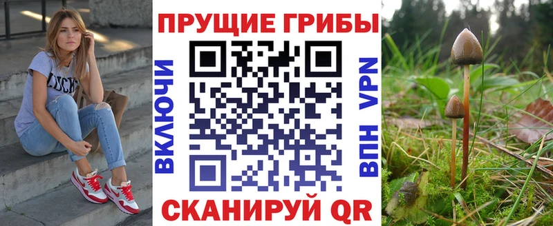 Псилоцибиновые грибы Cubensis  магазин продажи наркотиков  Ижевск 